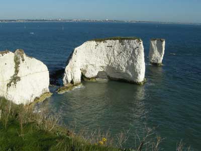 Old_Harry.jpg